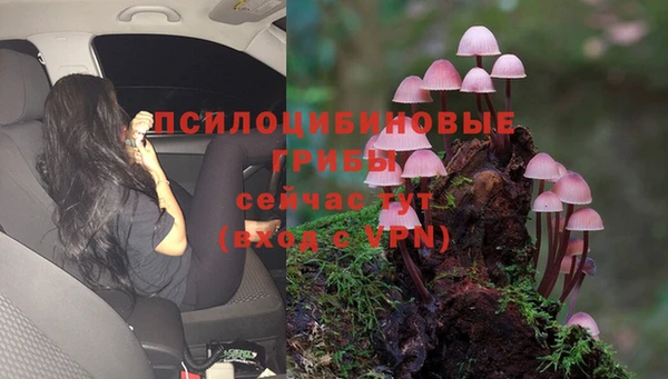 каннабис Бронницы