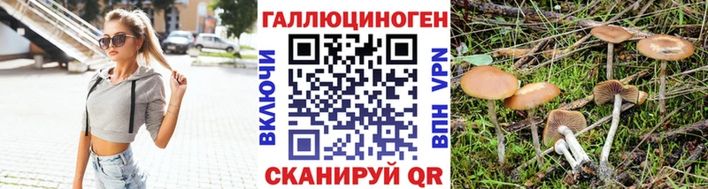 Галлюциногенные грибы MAGIC MUSHROOMS  сколько стоит  Дегтярск 