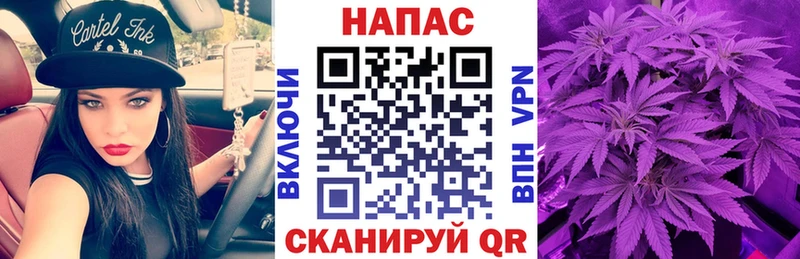 купить наркоту  Дегтярск  Конопля сатива 